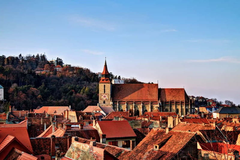 Bucharest: Day Trip to Bear Sanctuary, Bran Castle & Brasov - Key Highlights You Should Know