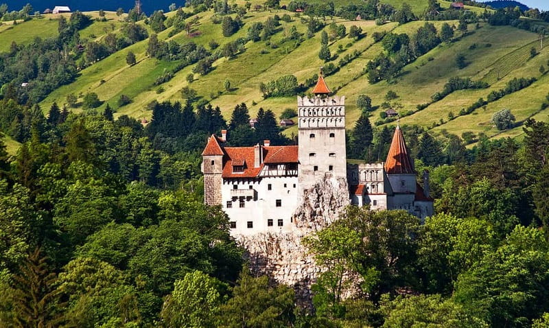 Bucharest: Day Trip to Bear Sanctuary, Bran Castle & Brasov - A 12-Hour Day Trip That Feels Packed, Not Chaotic
