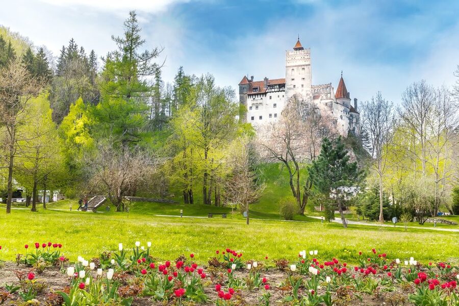 Bucharest: Day Trip to Dracula Castle, Peles Castle & Brașov - My decision advice: should you book this Bucharest day trip?