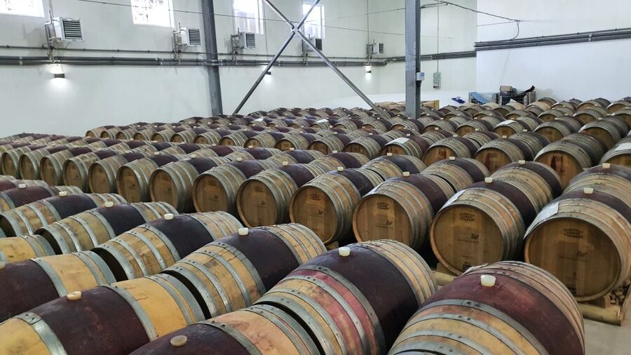 Bucharest: Dealu Mare Winery Private Trip with Wine Tasting - The vineyard tour: seeing the process behind the bottle
