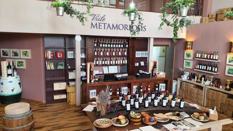 Bucharest: Dealu Mare Winery Private Trip with Wine Tasting - Should you book this Bucharest to Dealu Mare wine tasting?