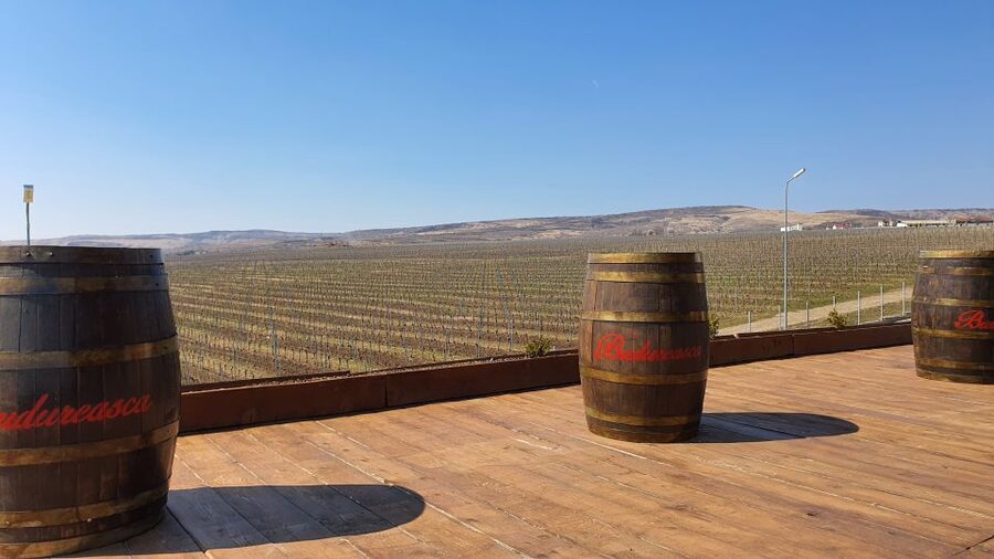 Bucharest: Dealu Mare Winery Private Trip with Wine Tasting - Two 1-hour guided winery visits where you learn as you taste