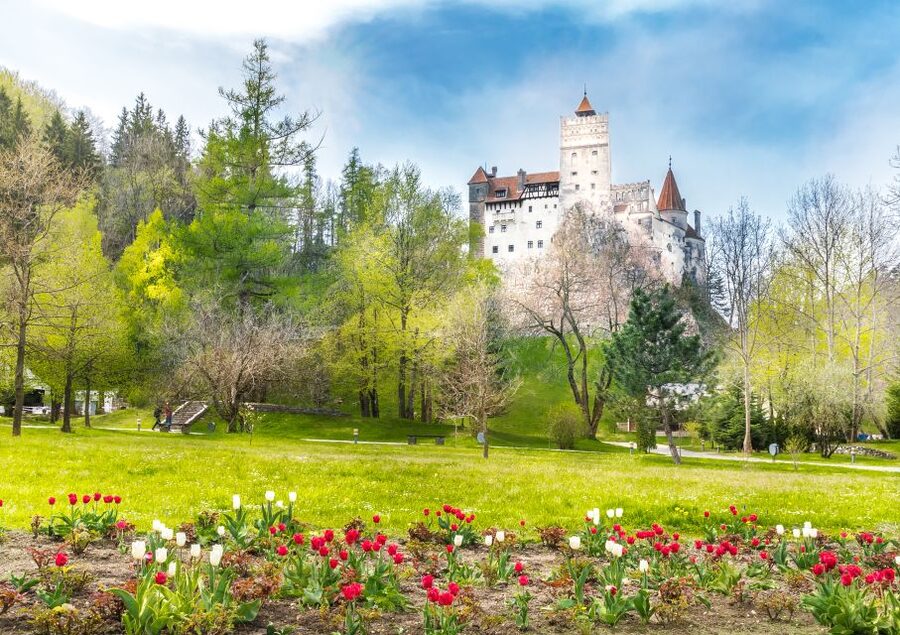 Bucharest: Dracula Castle, Peles Castle & Brasov Guided Tour - Mountain Views, Breaks, and the Reality of a 14-Hour Clock
