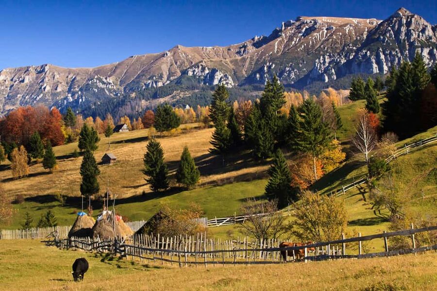 Bucharest:Dracula's Castle,''Wednesday''& Brasov Small Group - Bucharest panoramas and end-of-day drop-off