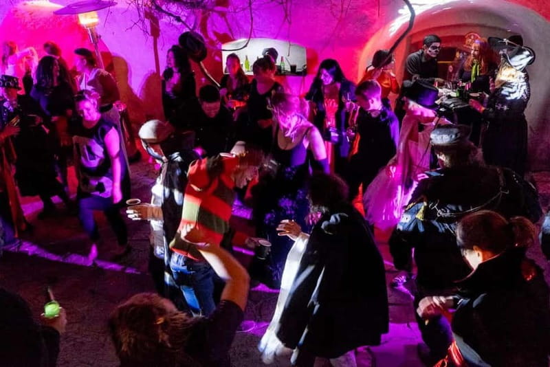 Bucharest: Halloween Party at Bran Castle - Getting to Transylvania in luxury minibus comfort