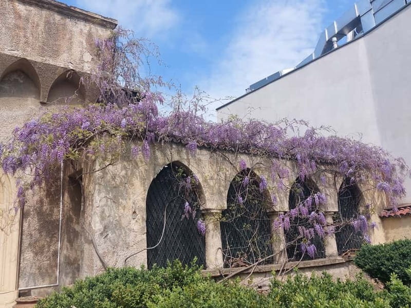 Bucharest: Hidden Gems 2.5-Hour Walking Tour - Price and Value: Is $53 Worth It?