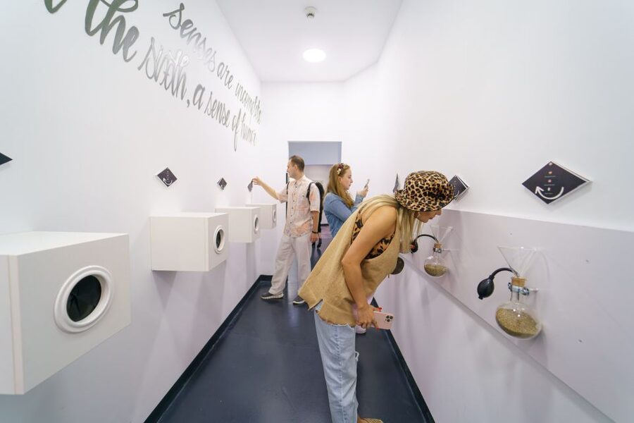 Bucharest: Museum of Senses Entry Ticket - Optical Illusions Desert, 2D Cafe, and a Vortex Tunnel