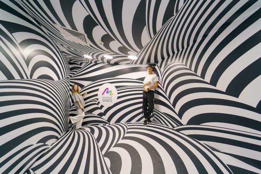 Bucharest: Museum of Senses Entry Ticket - Price and Value: What $13 Buys You in Bucharest