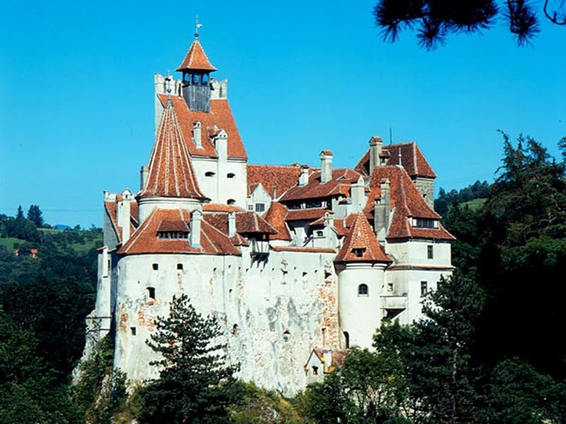 Bucharest: Peles Castle, Dracula's Castle and Brasov Tour - Key Points You Should Know Before You Go