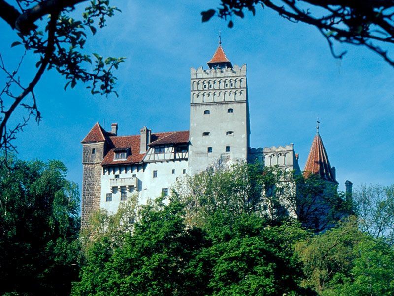 Bucharest: Peles Castle, Dracula's Castle and Brasov Tour - Guide Quality Can Make or Break the Feeling