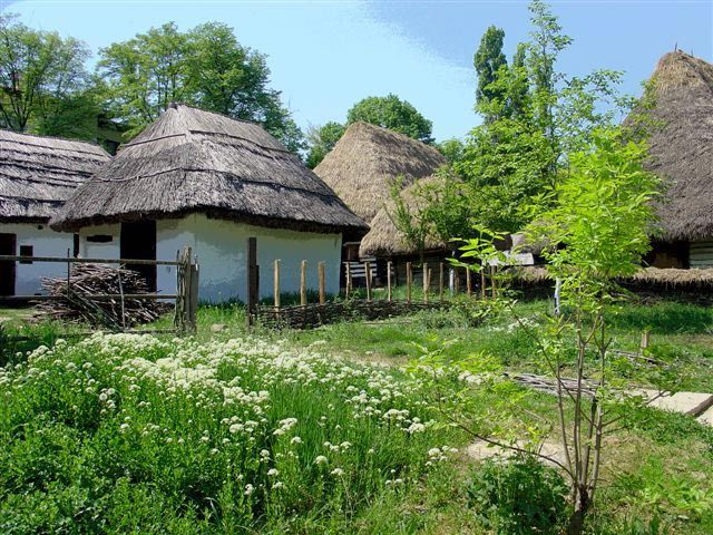 Bucharest: Private City Tour Guided Experience - From Little Paris to Lipscani: where Bucharest’s charm lives