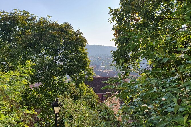 Bucharest Private Tour with Dracula's Grave and Ceaușescu Mansion - Key points before you go