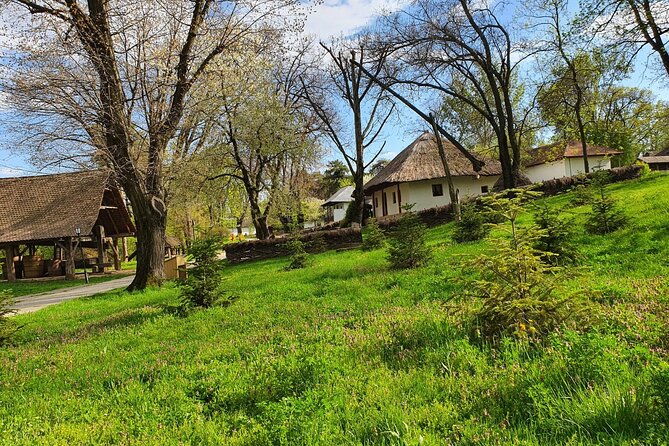 Bucharest Private Tour with Dracula's Grave and Ceaușescu Mansion - How to plan your day: timing, tickets, and smart choices