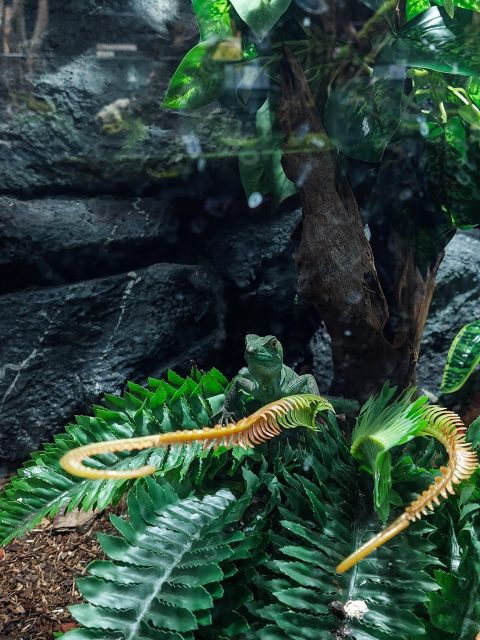 Bucharest: Reptiland Bucharest Entry Ticket - Reptiland Bucharest entry ticket: what you’re really buying