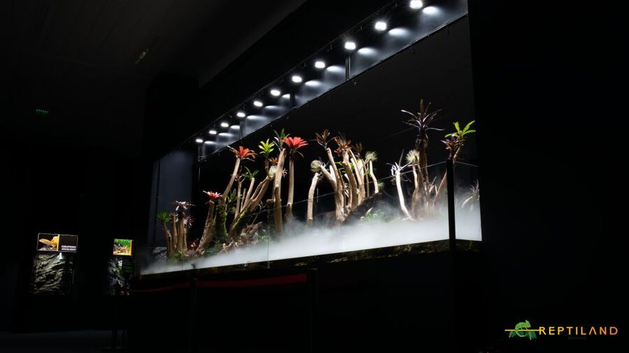 Bucharest: Reptiland Bucharest Entry Ticket - Your first walk-through: customized terrariums and close encounters