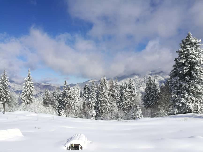 Bucharest: Snowmobile or ATV in the Carpathian Mountains - What you do once you arrive: instructions, helmets, and the safety basics that matter