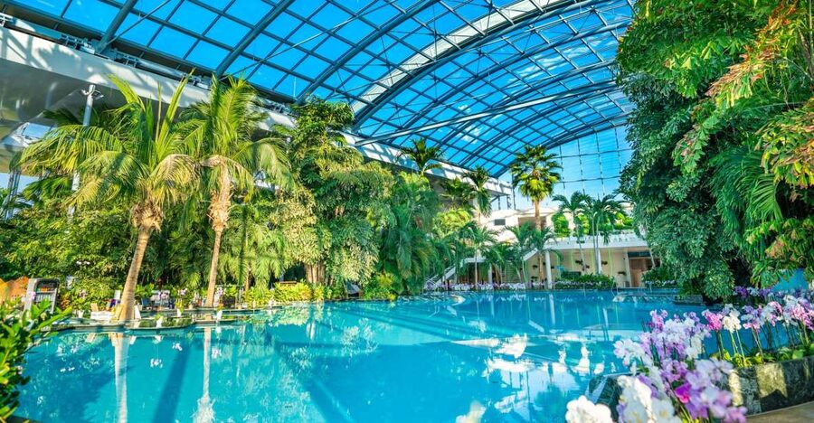 Bucharest: Therme Bucharest Entry Ticket and Transfer - The shuttle from downtown: punctual, organized, and easy to follow