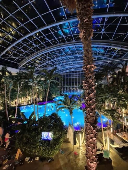Bucharest: Therme Entry Ticket and Transfer - Key highlights you’ll actually care about
