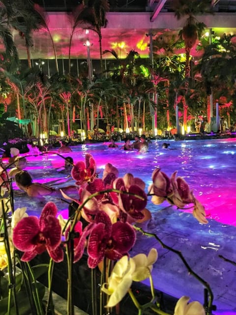Bucharest: Therme Spa Night Experience with Transfer - What 4.5 hours means (and how to use your 3 inside)