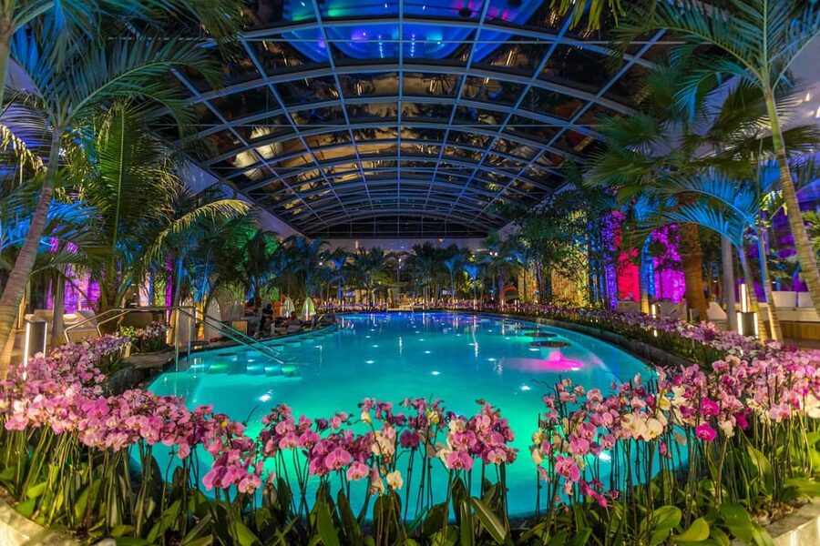 Bucuresti: Therme Bucharest Evening Entry Ticket & Transfer - Food, towels, and the small costs that matter