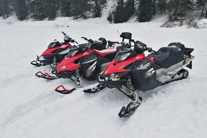 Carpathian mountains Snowmobile, ATV or Buggy tour in one day - A 7:00 AM start that pays off in mountain time