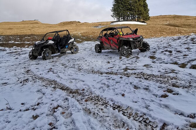 Carpathian mountains Snowmobile, ATV or Buggy tour in one day - Guide energy matters: why this tour feels organized