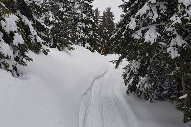Carpathian mountains Snowmobile, ATV or Buggy tour in one day - Peles Castle: the calm, classy break between the machines