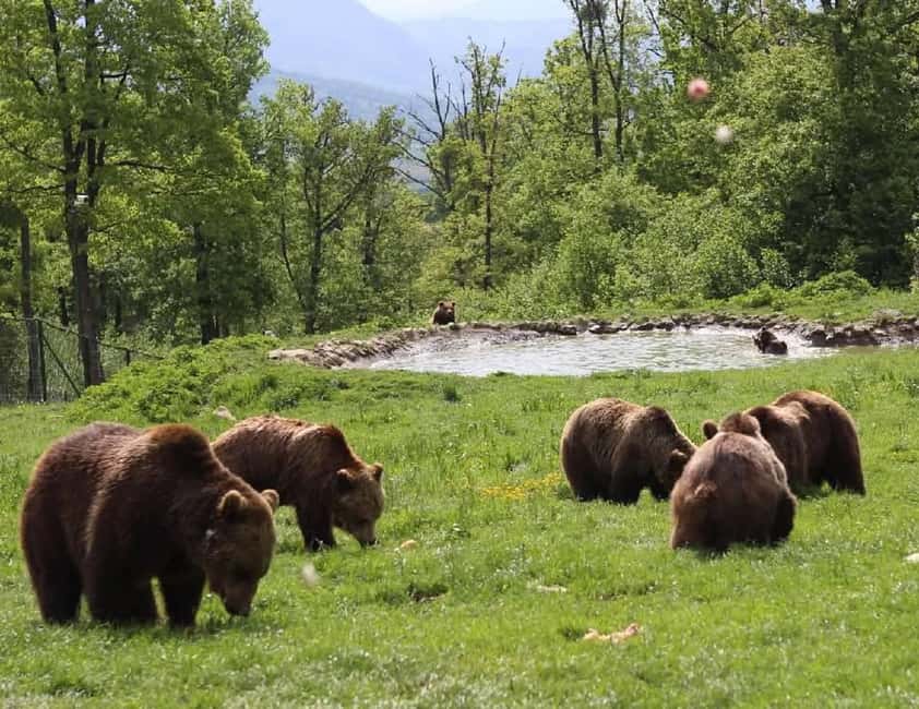 Cave Valley, Râșnov Fortress, Bran Castle & Bear Sanctuary - Valea Cetății Cave: the guide matters in the dim