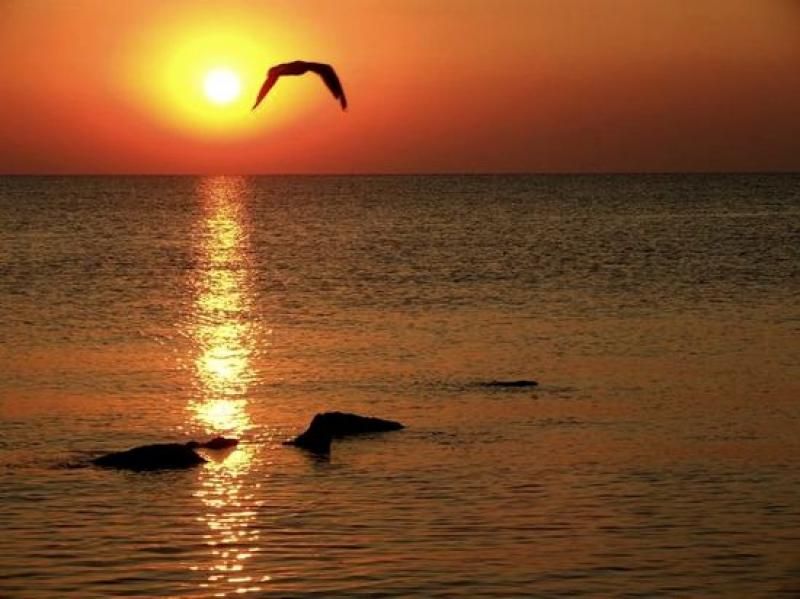 Constanta: Full Day Tour from Bucharest to the Black Sea - A One-Day Coast Trip That Still Feels Organized
