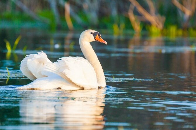 Danube Delta and Black See - 2 Days Private Tour from Bucharest - Price and Logistics: Is $1,239.07 Per Person Worth It?