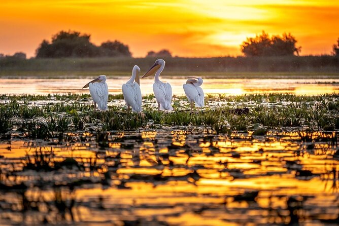 Danube Delta and Black See - 2 Days Private Tour from Bucharest - What to Pack and How to Prepare for the Mosque and the Delta
