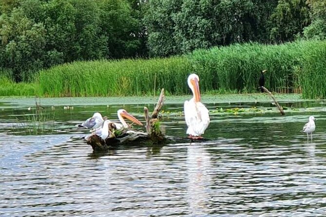 Danube Delta - Private Tour with Boat Trip & Traditional Lunch - Guides and value: what you get for the money