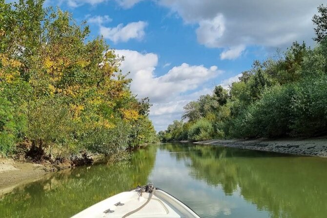 Danube Delta -Small group Tour- Boat Trip & Traditional Lunch - Tour value and price reality: what $164.43 covers