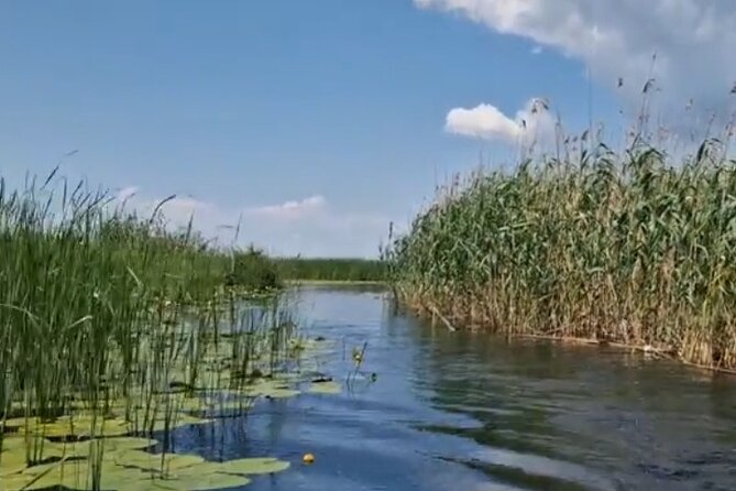Danube Delta -Small group Tour- Boat Trip & Traditional Lunch - Danube Delta by boat: where the day gets real