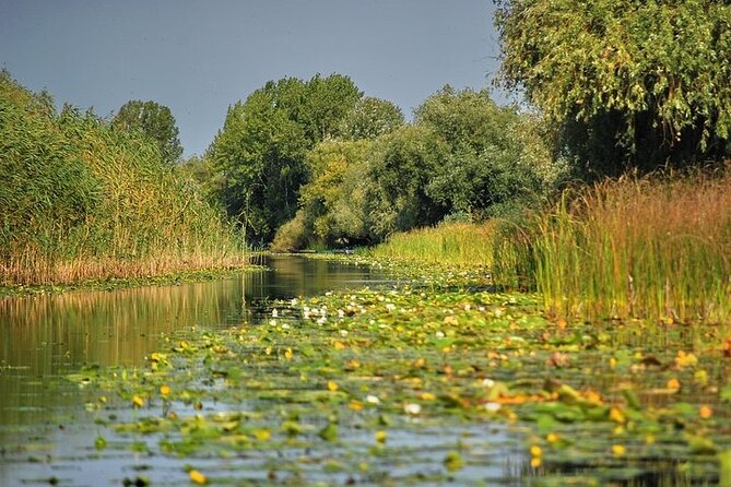 Day Trip from Bucharest to Danube Delta - The main event: a 4–5 hour boat trip through UNESCO wildlife territory