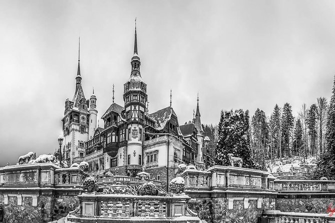 Dracula's Castle, Peles Castle and Brasov - Private Day Trip from Bucharest - Who should book this private day trip from Bucharest