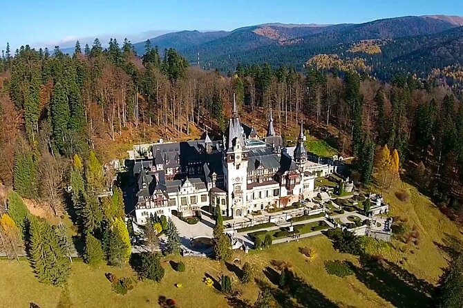 Dracula's Castle - Private Tour with Peleș Castle and Brașov city - Transportation, WiFi, and the little things that change the day