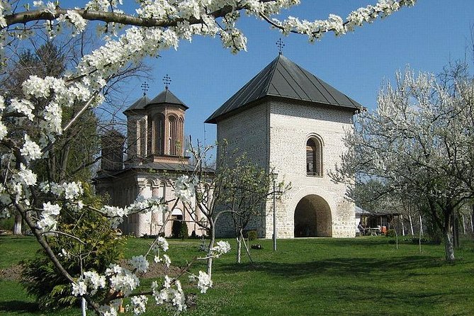 Dracula's Tomb and Mogosoaia Palace, Private Tour from Bucharest - Timing and what to do with your day before and after