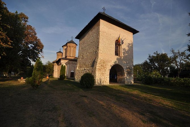 Dracula's Tomb and Mogosoaia Palace, Private Tour from Bucharest - What the private format actually changes on this route