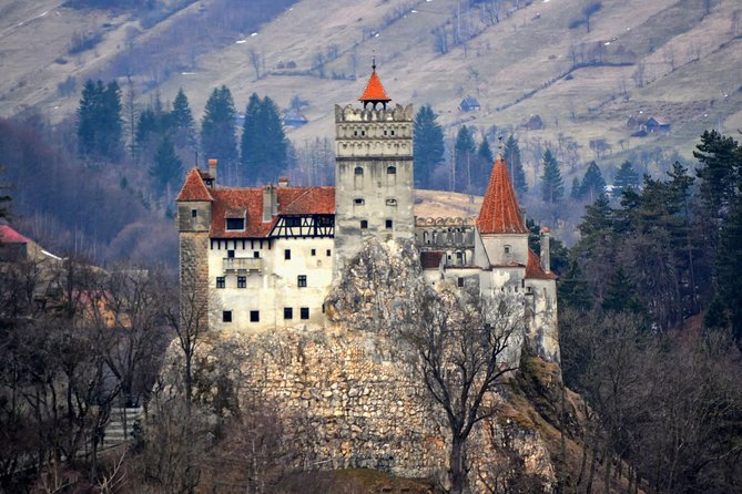 Explore Transylvania: Dracula, Peles Castle & Brasov Private Tour - Private Guide, Hotel Pickup, and a Long Castle Day That Stays Manageable