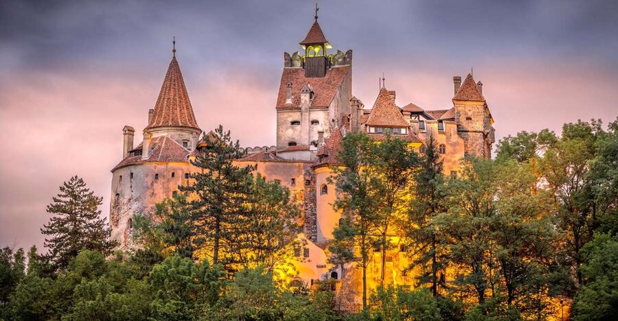From Bucharest: A Taste of Transylvania: Private Tour - The private transport factor: calm driving and real flexibility