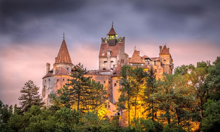 From Bucharest: A Taste of Transylvania: Private Tour - Who should book this private Transylvania taste (and who shouldn’t)