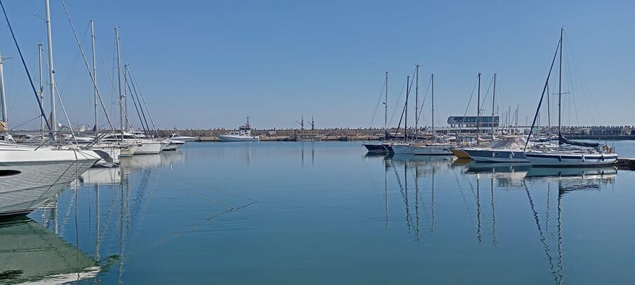 From Bucharest: Black Sea Constanța Day Tour - Stop quality and walking pace: how the day feels in real time