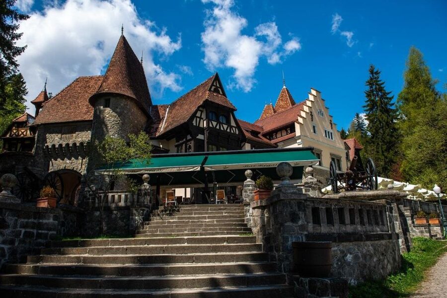 From Bucharest: Brasov Peles & Dracula's Castle Day Tour - Key points to know before you go