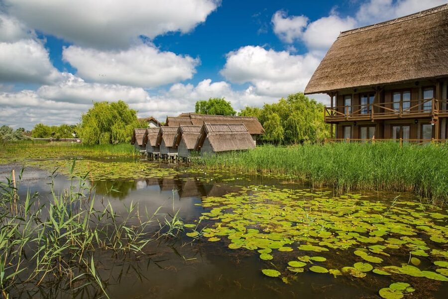 From Bucharest: Day Trip to Danube Delta - Key Things I’d Bet You’ll Enjoy