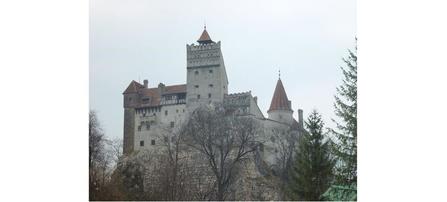 From Bucharest: Dracula Castle Day Trip - The guide experience: what makes this day feel smooth