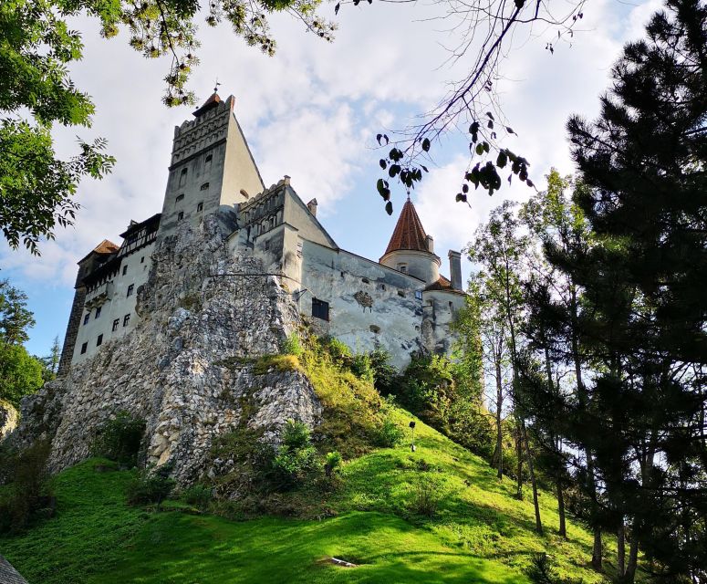 From Bucharest: Dracula Castle Day Trip - Who should book this Dracula Castle day trip?