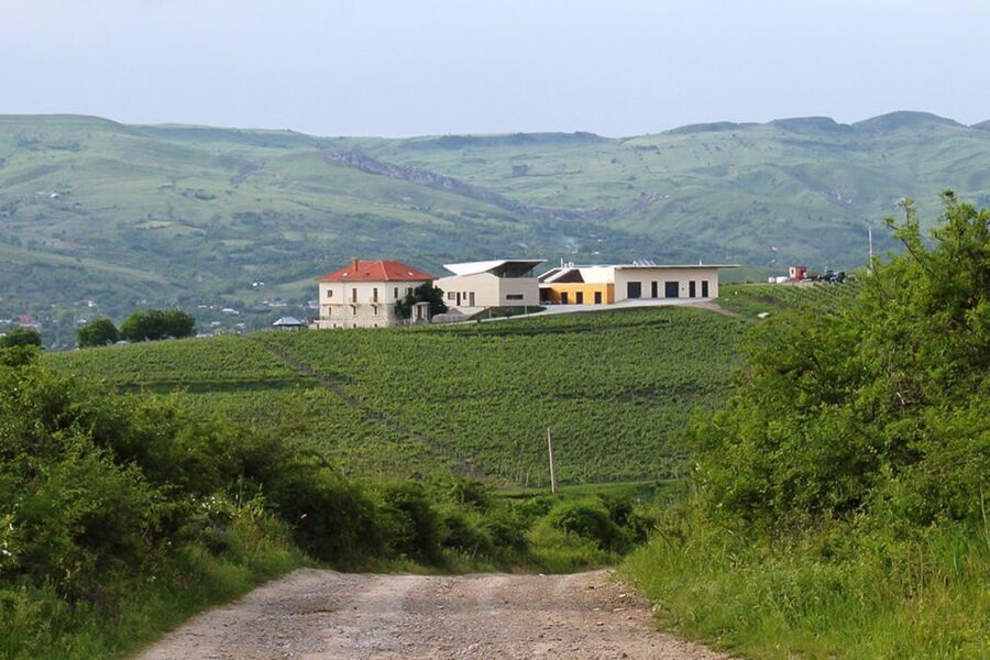 From Bucharest: Exclusive Dealu Mare Wine Tasting Tour - Lacerta Winery: Guided Facilities and Six Wines Built Around Gravity