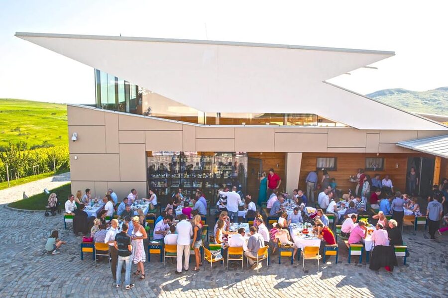 From Bucharest: Exclusive Dealu Mare Wine Tasting Tour - 1000 Chipuri Winery: Family Craft, Barrel/Tank Samples, and Fetească Neagră