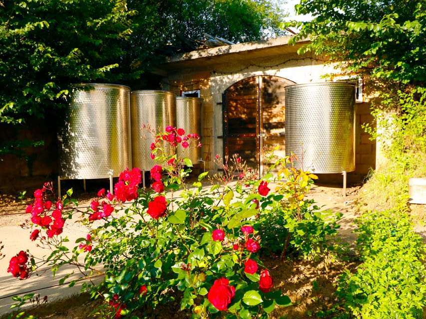 From Bucharest: Exclusive Dealu Mare Wine Tasting Tour - The 12-Wine Plan: How to Pace Without Missing the Details
